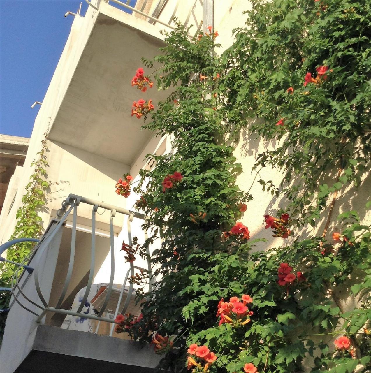 Apartments Leut Drasnice Kamer foto